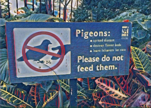 Do Not Feed