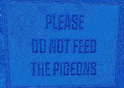 Pigeons