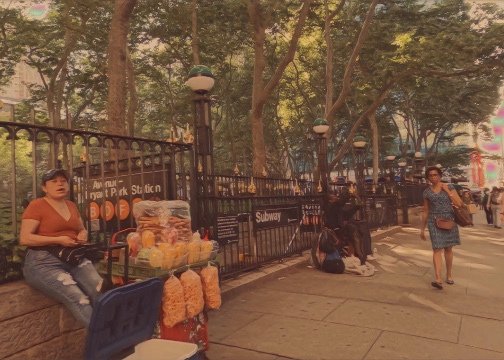 Bryant Park Vendor